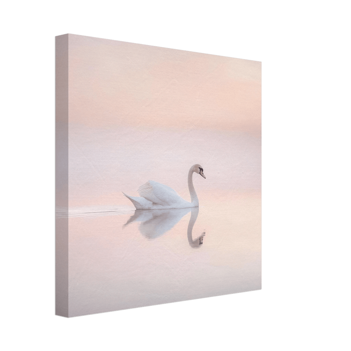 Graceful Swan on a Serene Lake 3 - Shop Ai Art WebShop - Digital Art online Store