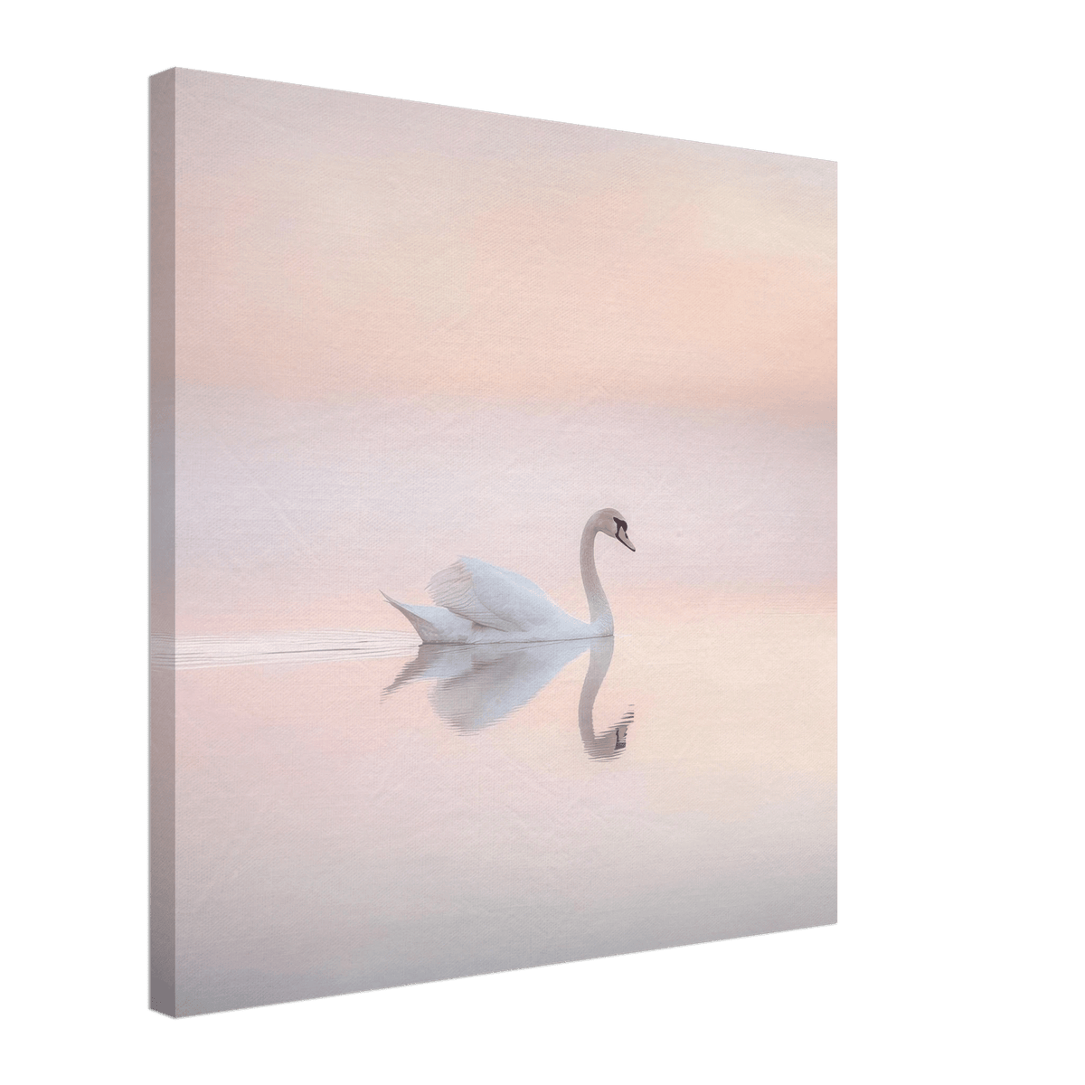 Graceful Swan on a Serene Lake 3 - Shop Ai Art WebShop - Digital Art online Store