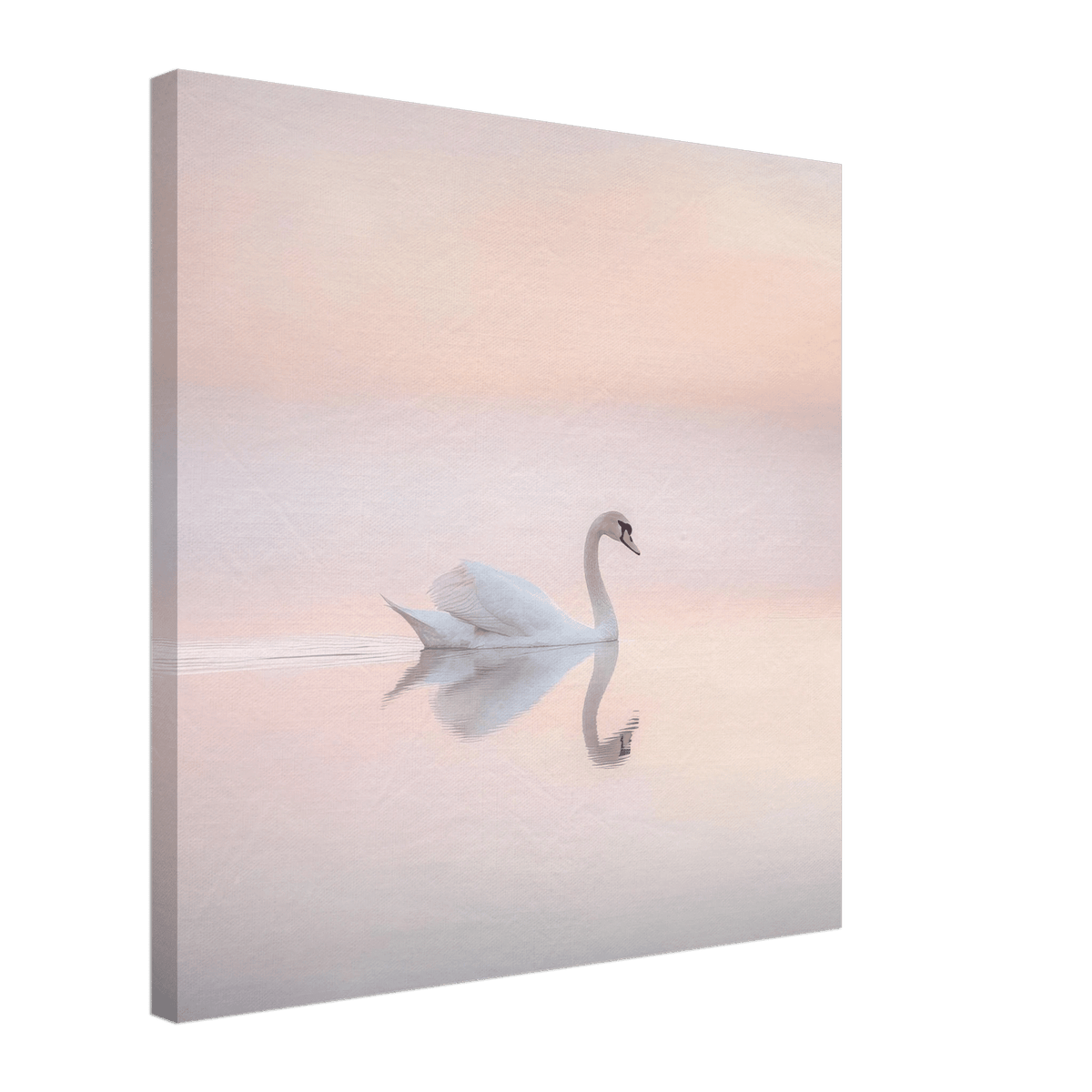 Graceful Swan on a Serene Lake 3 - Shop Ai Art WebShop - Digital Art online Store