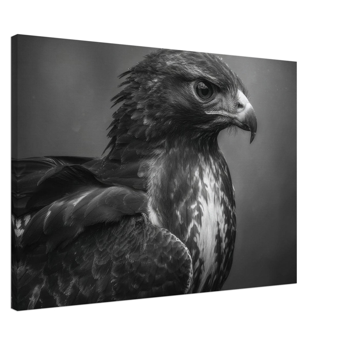 Hawk 0 - Shop Ai Art WebShop - Digital Art online Store