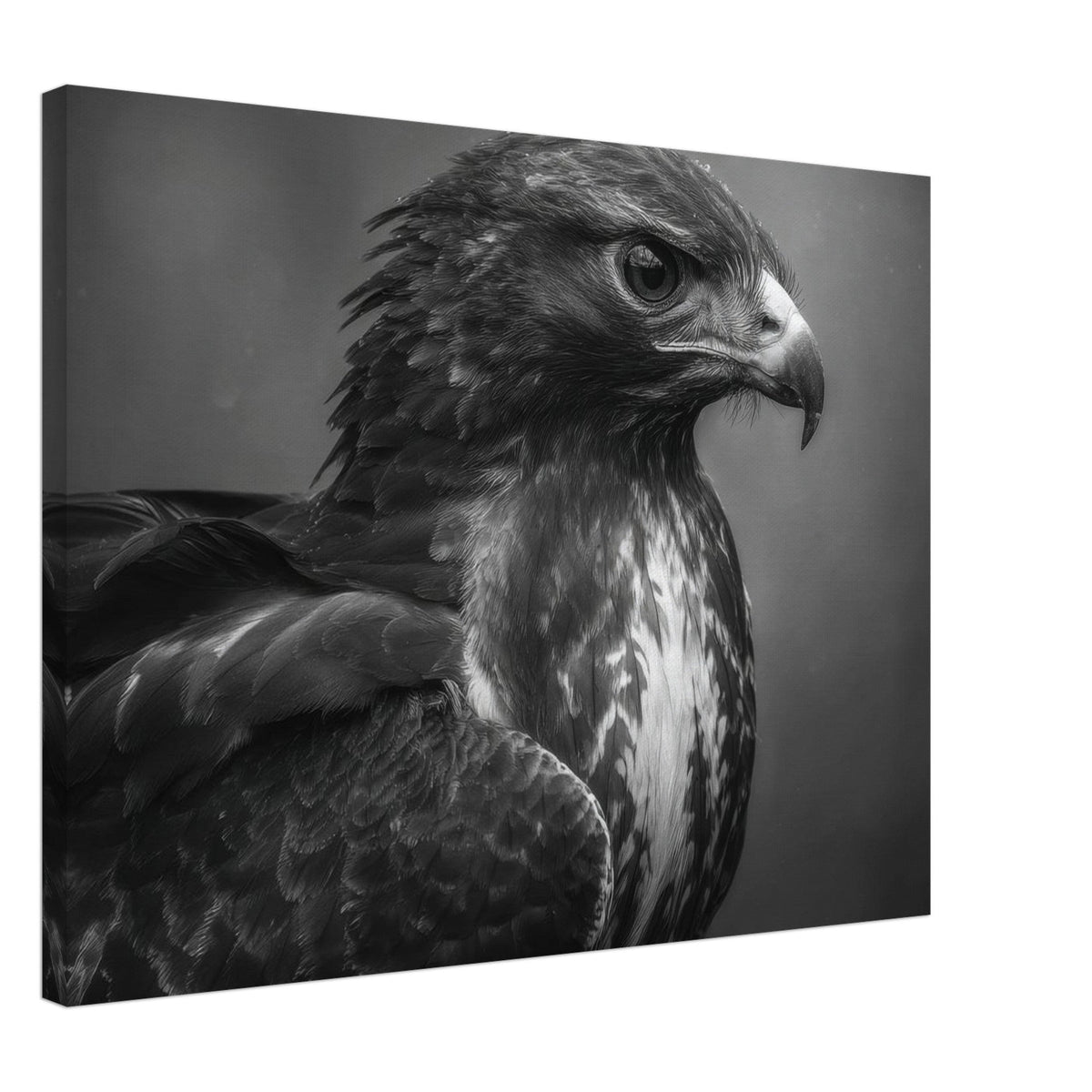 Hawk 0 - Shop Ai Art WebShop - Digital Art online Store