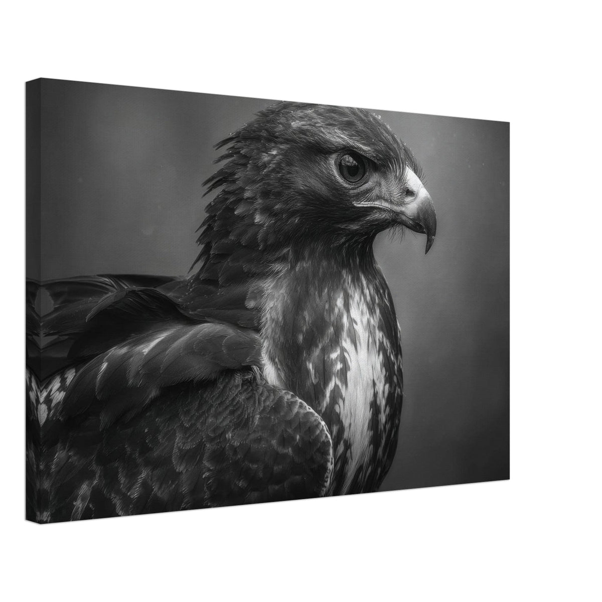 Hawk 0 - Shop Ai Art WebShop - Digital Art online Store