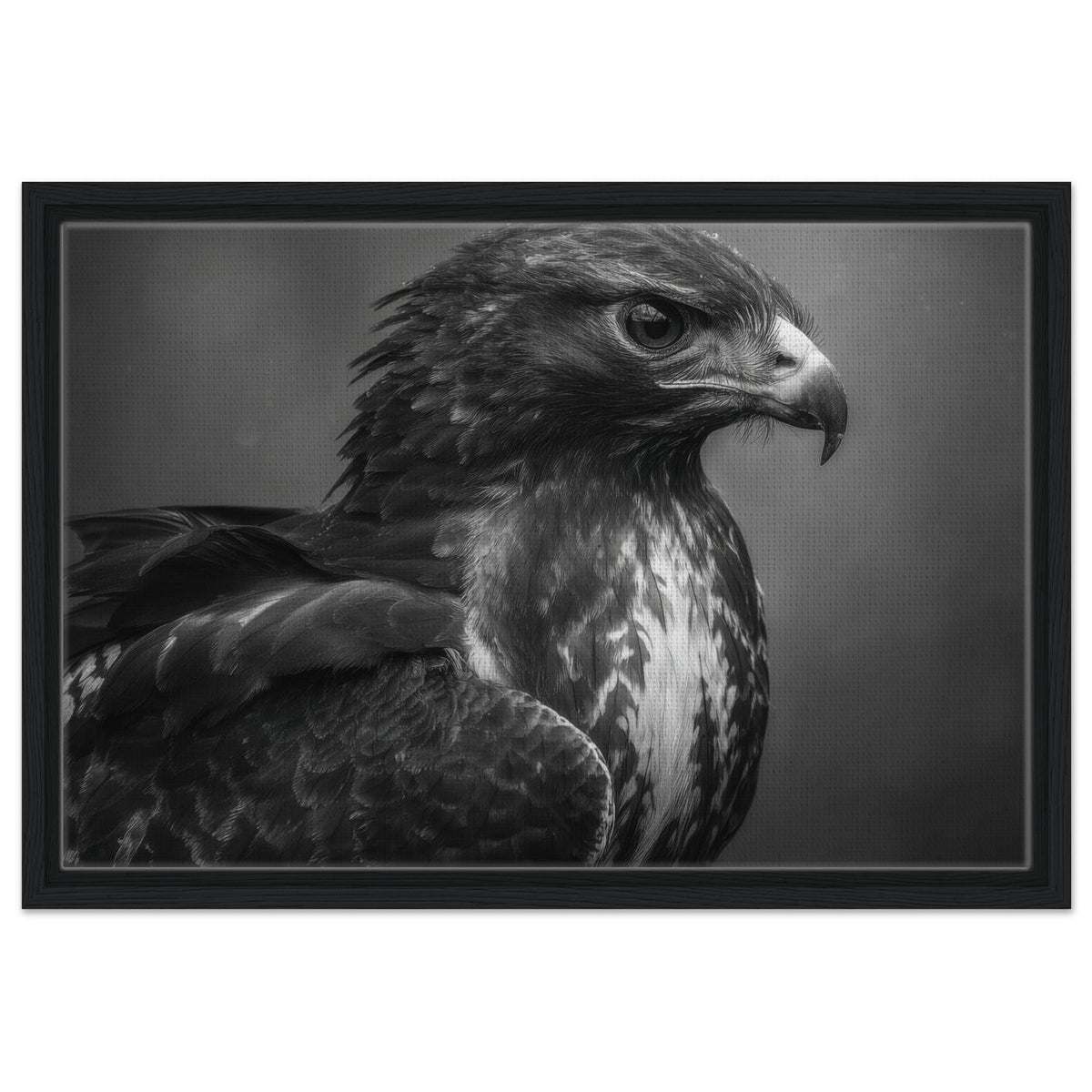 Hawk 0 - Shop Ai Art WebShop - Digital Art online Store