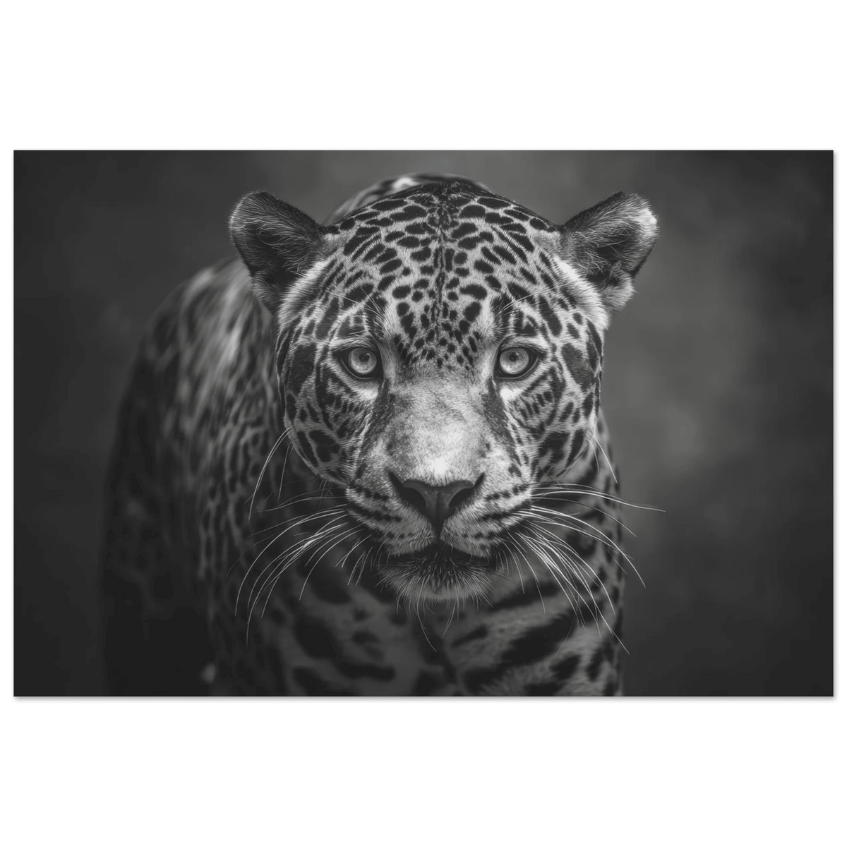 Jaguar Front 2 - Shop Ai Art WebShop - Digital Art online Store