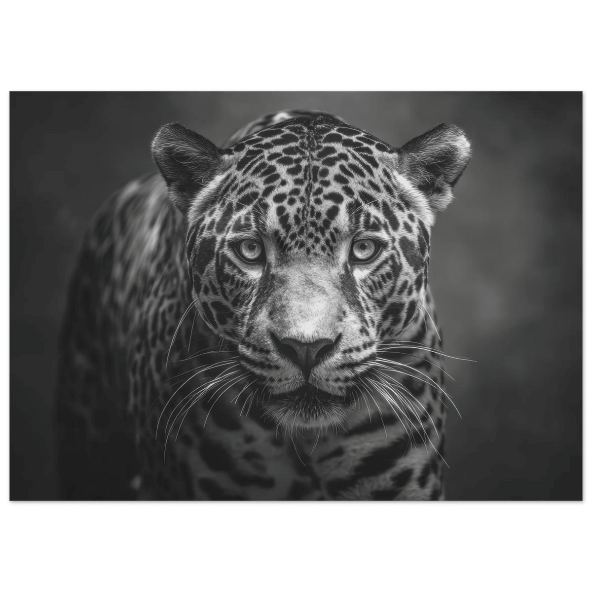 Jaguar Front 2 - Shop Ai Art WebShop - Digital Art online Store