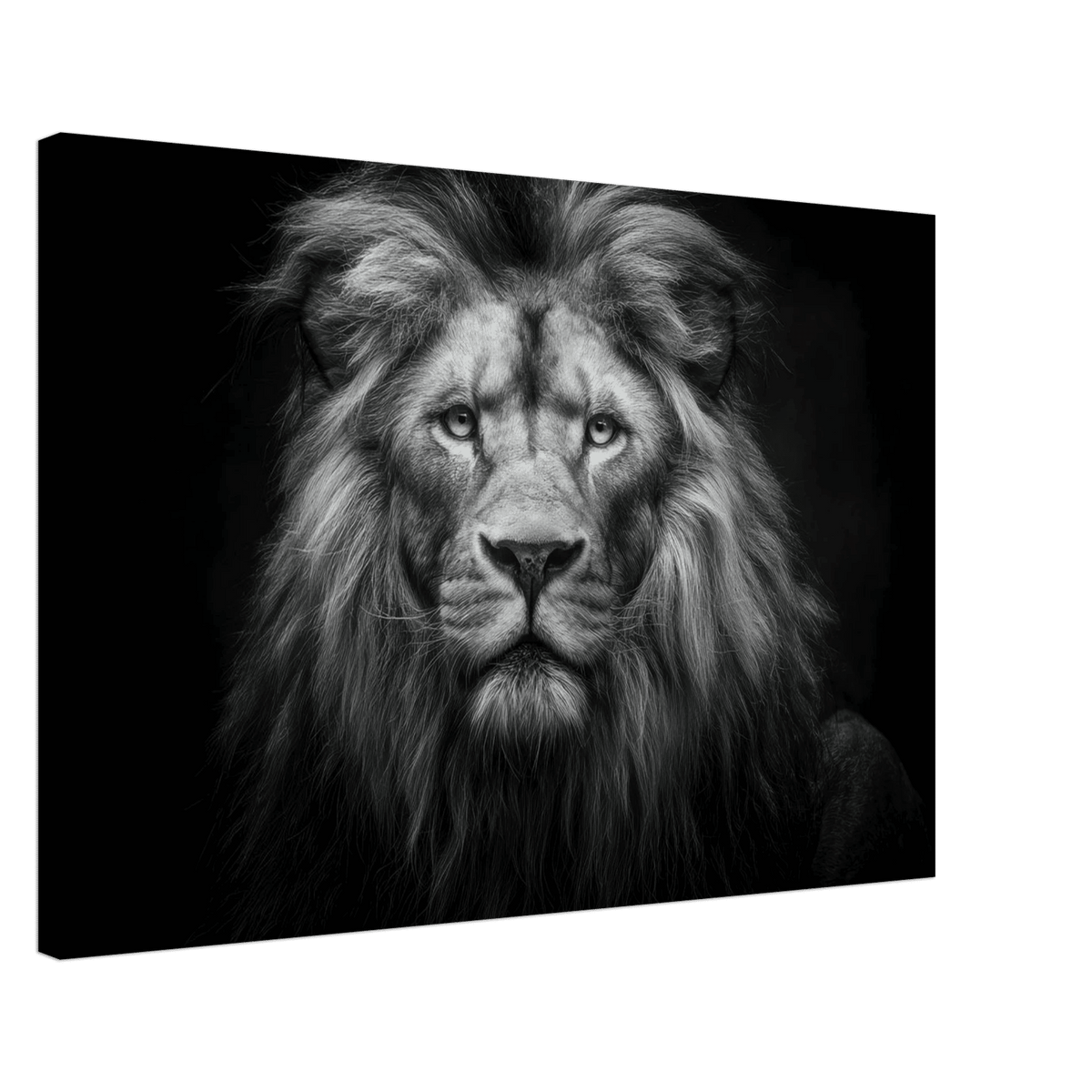 Lion Staring 0 - Shop Ai Art WebShop - Digital Art online Store