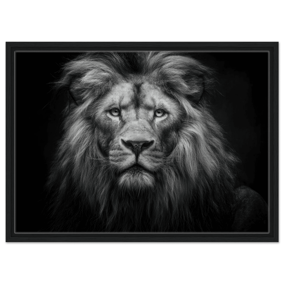 Lion Staring 0 - Shop Ai Art WebShop - Digital Art online Store