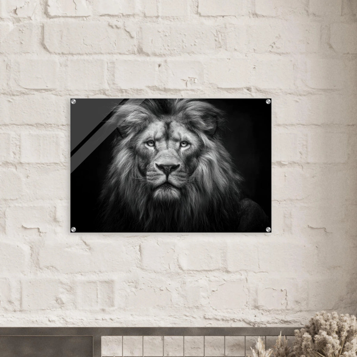 Lion Staring 0 - Shop Ai Art WebShop - Digital Art online Store