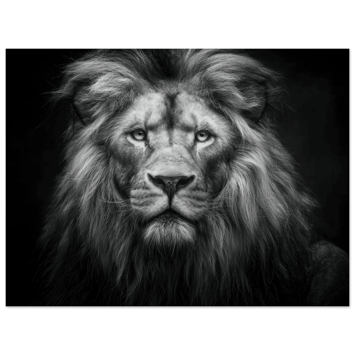 Lion Staring 0 - Shop Ai Art WebShop - Digital Art online Store