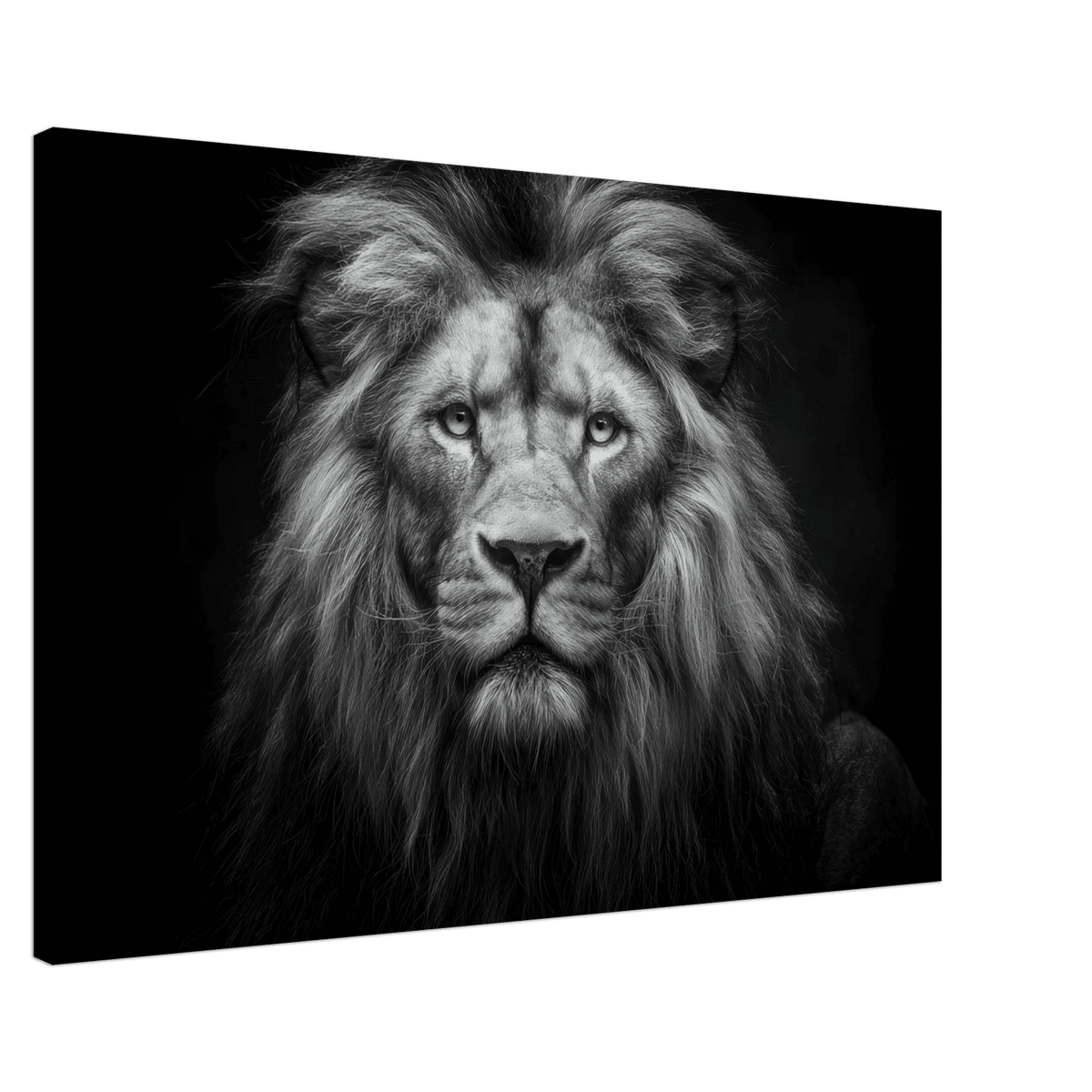Lion Staring 0 - Shop Ai Art WebShop - Digital Art online Store