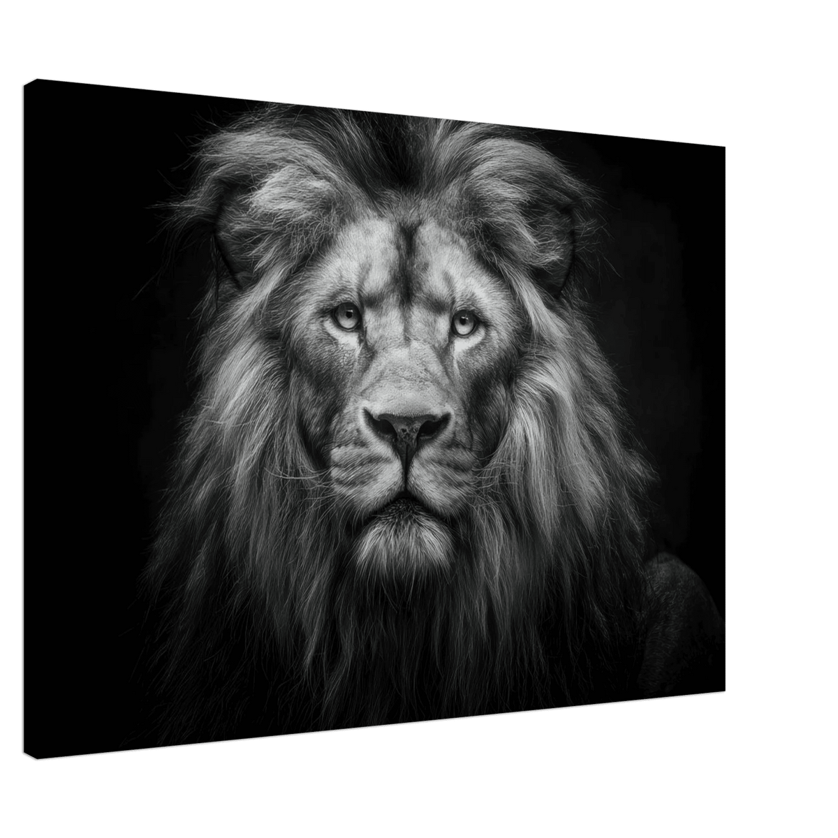 Lion Staring 0 - Shop Ai Art WebShop - Digital Art online Store