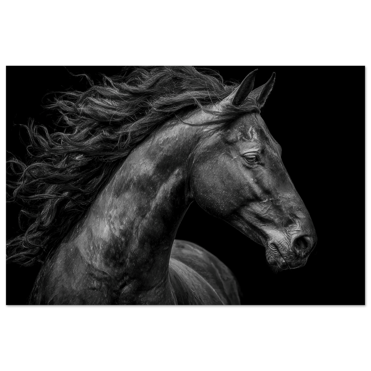 Majestic Black Stallion Head 1 - Shop Ai Art WebShop - Digital Art online Store