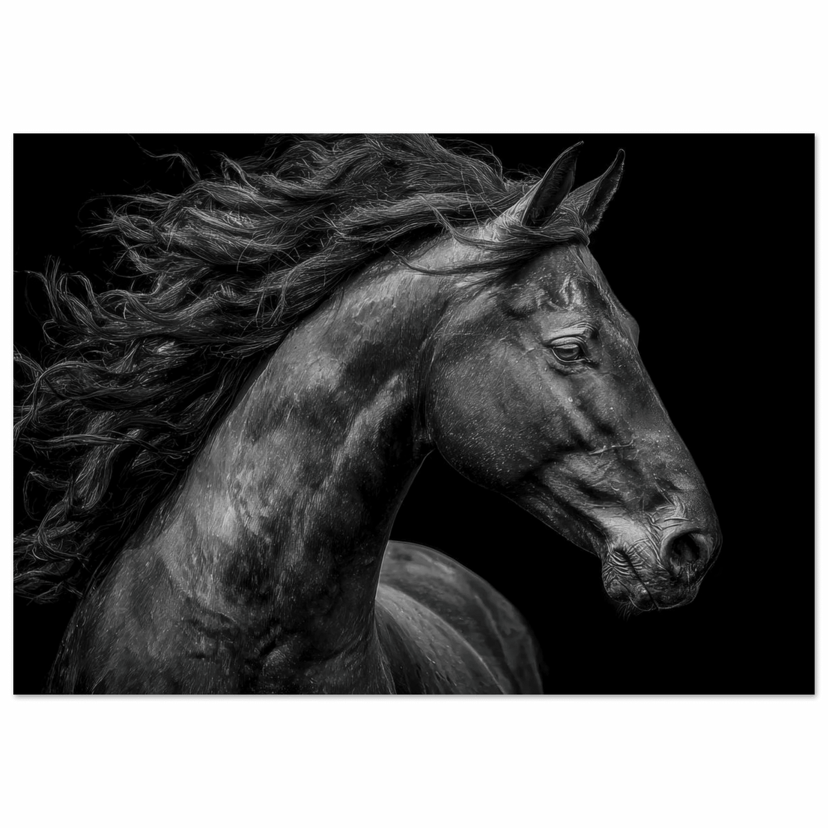 Majestic Black Stallion Head 1 - Shop Ai Art WebShop - Digital Art online Store