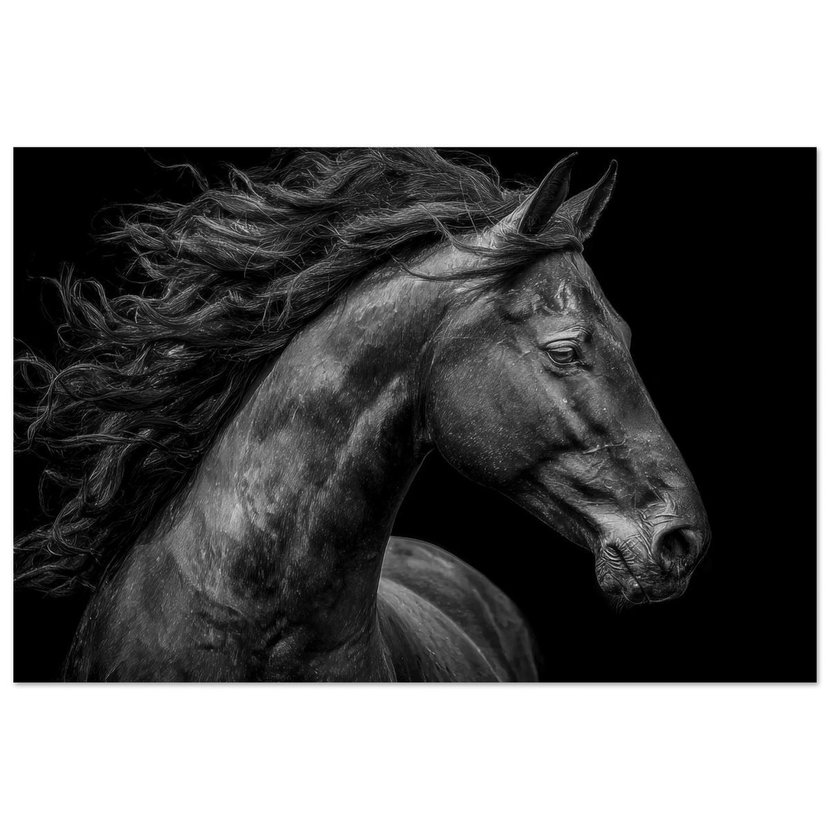 Majestic Black Stallion Head 1 - Shop Ai Art WebShop - Digital Art online Store