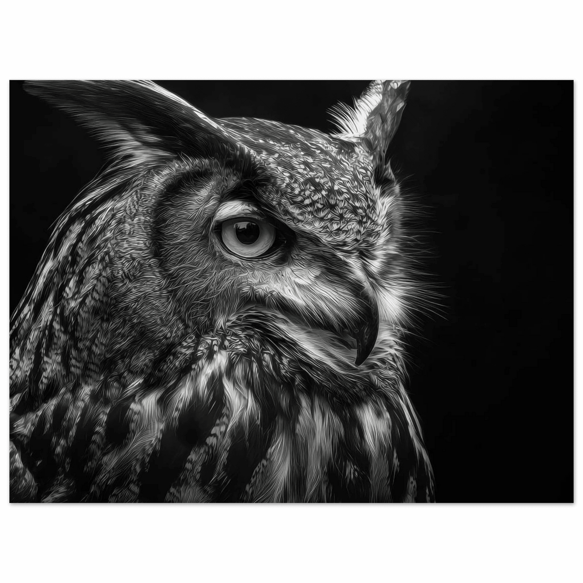 Owl 0 - Shop Ai Art WebShop - Digital Art online Store