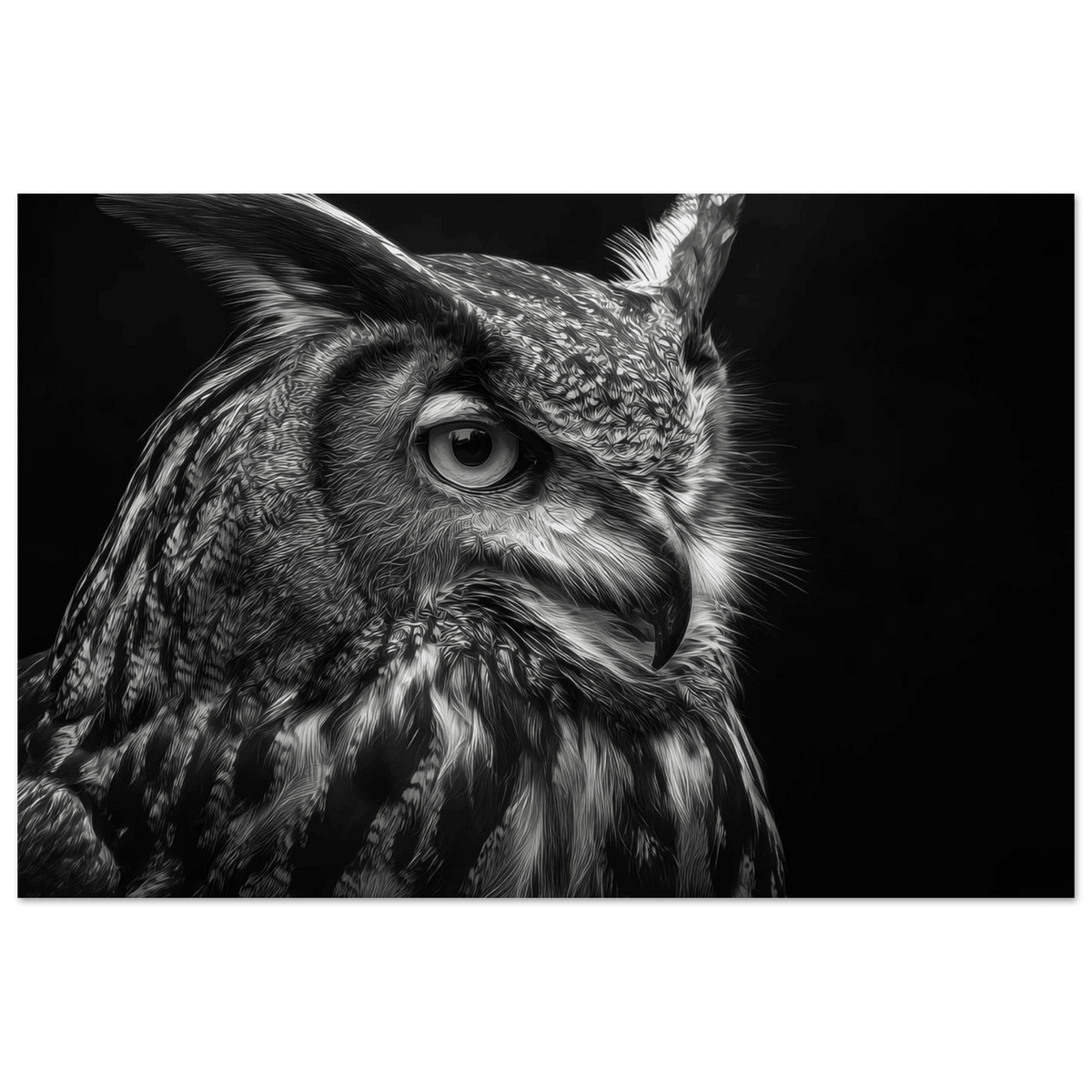 Owl 0 - Shop Ai Art WebShop - Digital Art online Store