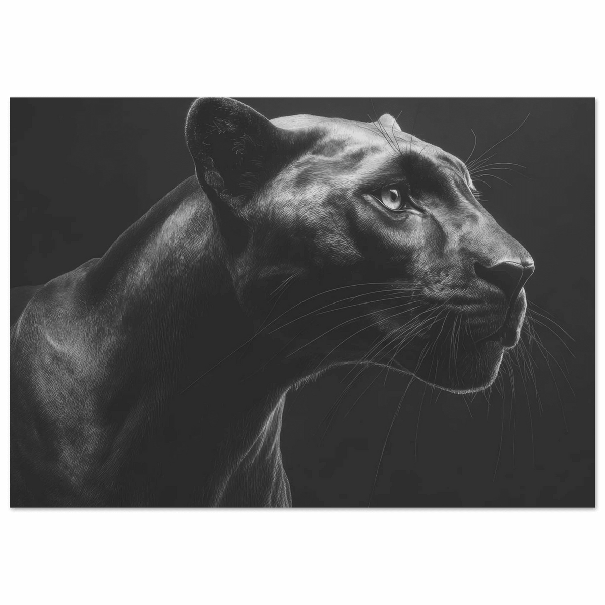 Panther Head in Monochrome Side Profile 1 - Shop Ai Art WebShop - Digital Art online Store