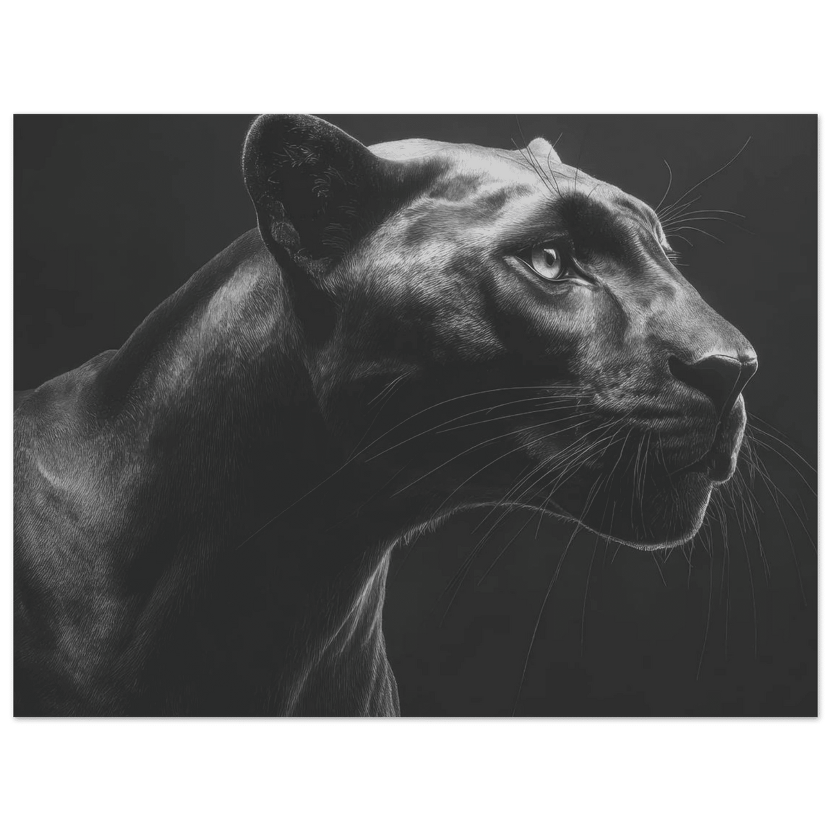 Panther Head in Monochrome Side Profile 1 - Shop Ai Art WebShop - Digital Art online Store