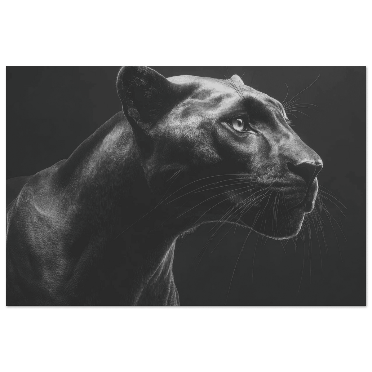 Panther Head in Monochrome Side Profile 1 - Shop Ai Art WebShop - Digital Art online Store