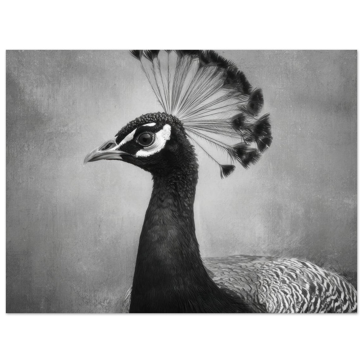 Peacock Front 2 - Shop Ai Art WebShop - Digital Art online Store