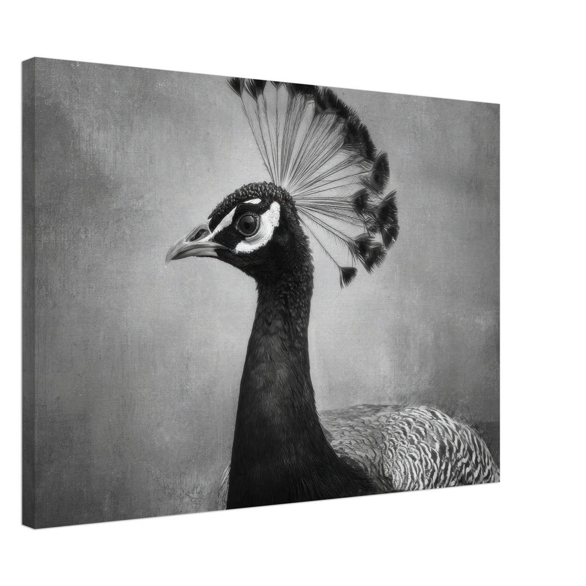 Peacock Front 2 - Shop Ai Art WebShop - Digital Art online Store