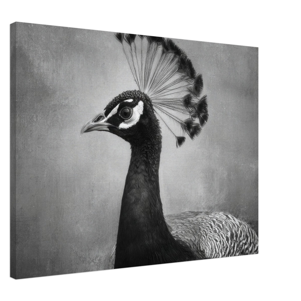 Peacock Front 2 - Shop Ai Art WebShop - Digital Art online Store