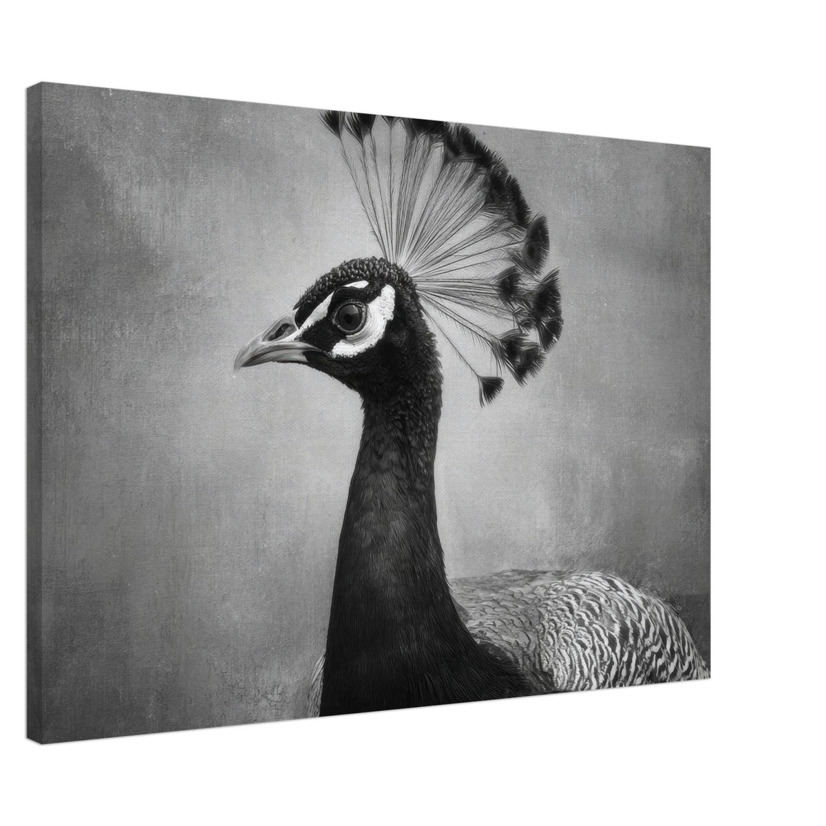 Peacock Front 2 - Shop Ai Art WebShop - Digital Art online Store