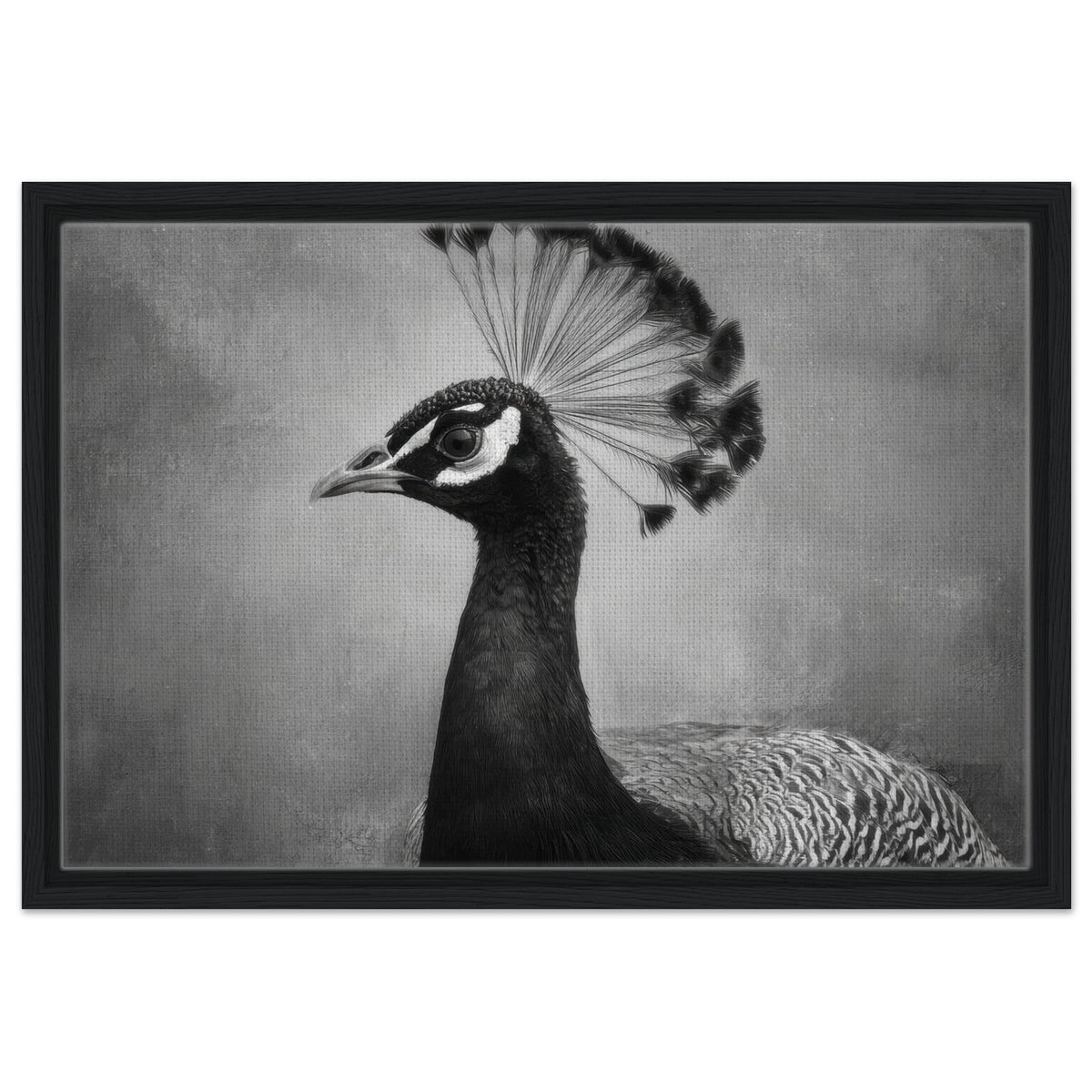 Peacock Front 2 - Shop Ai Art WebShop - Digital Art online Store