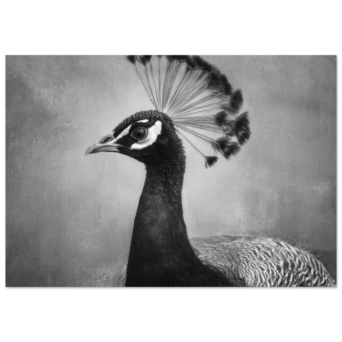 Peacock Front 2 - Shop Ai Art WebShop - Digital Art online Store