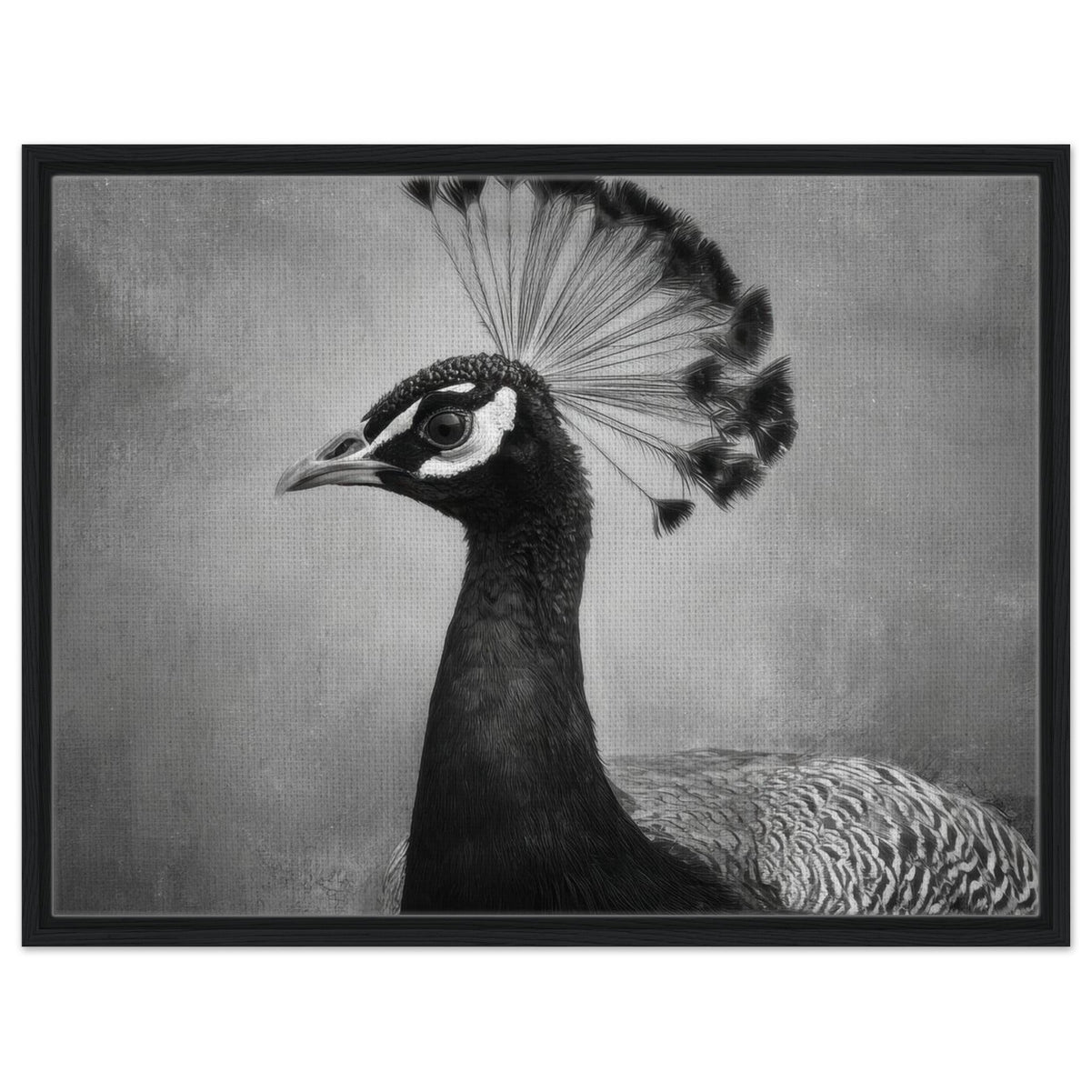 Peacock Front 2 - Shop Ai Art WebShop - Digital Art online Store