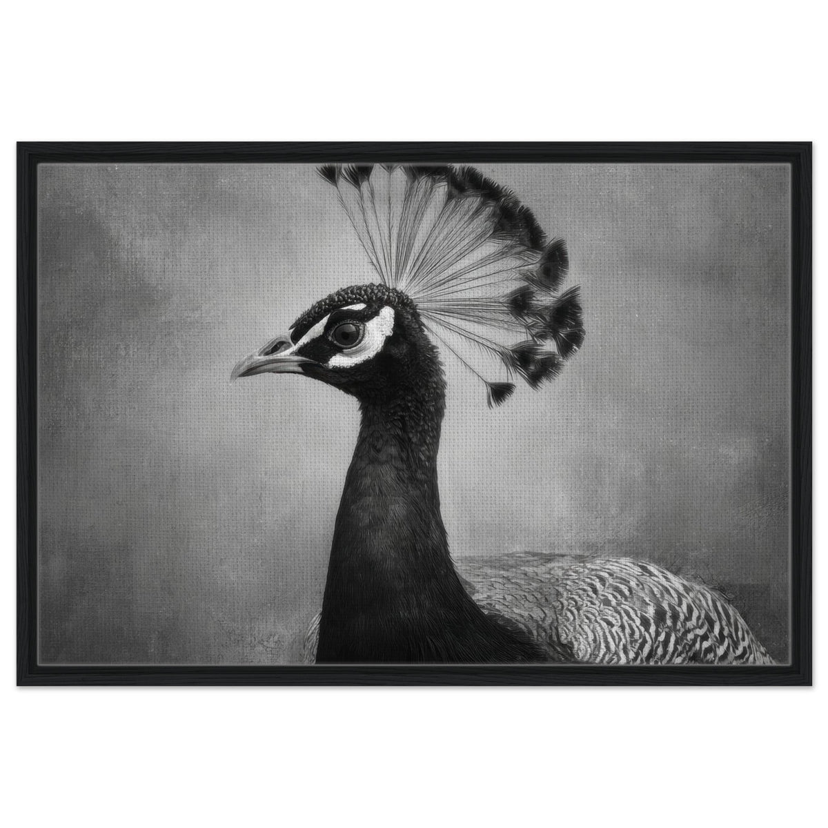 Peacock Front 2 - Shop Ai Art WebShop - Digital Art online Store