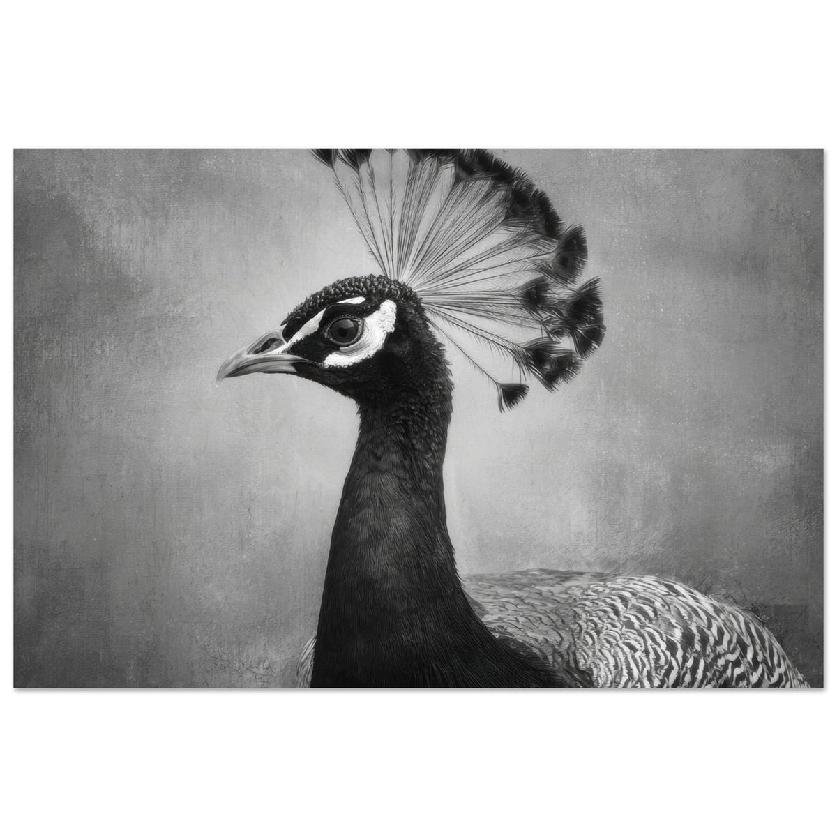 Peacock Front 2 - Shop Ai Art WebShop - Digital Art online Store