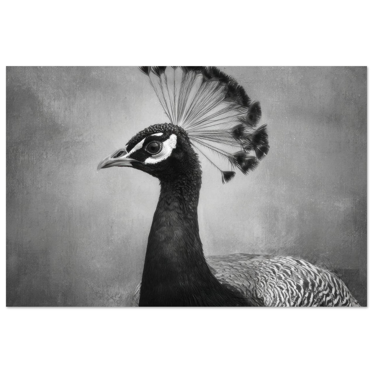Peacock Front 2 - Shop Ai Art WebShop - Digital Art online Store