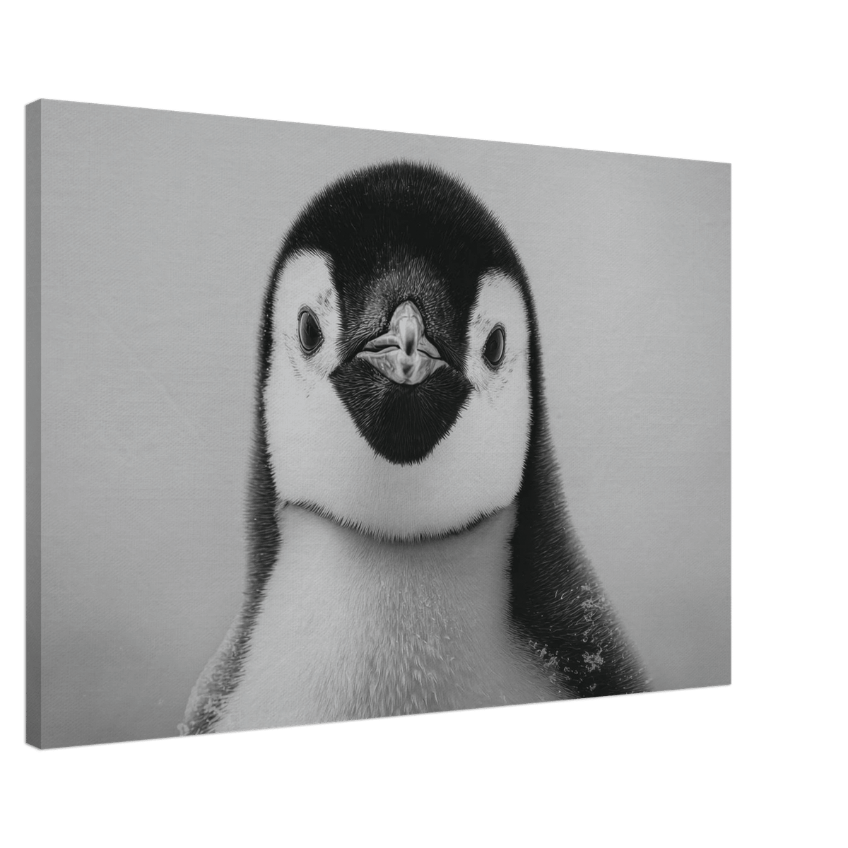 Penguin Face 2 - Shop Ai Art WebShop - Digital Art online Store