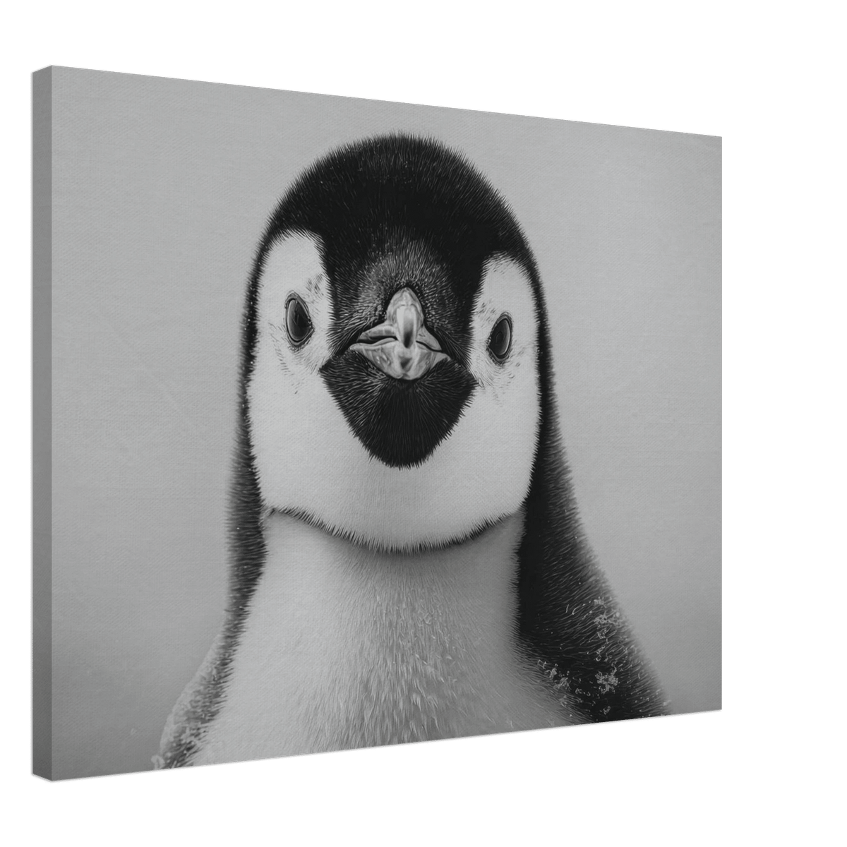 Penguin Face 2 - Shop Ai Art WebShop - Digital Art online Store