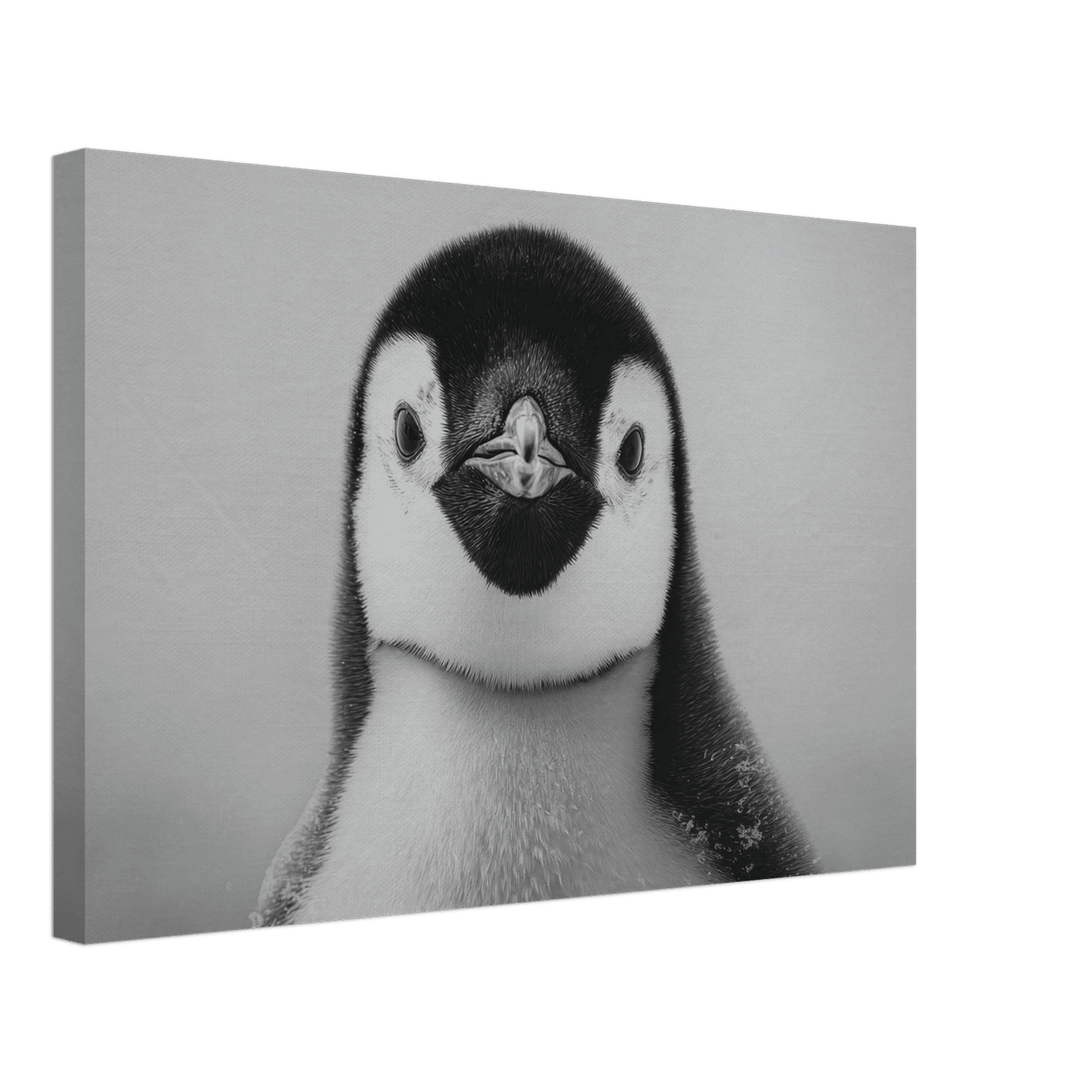 Penguin Face 2 - Shop Ai Art WebShop - Digital Art online Store