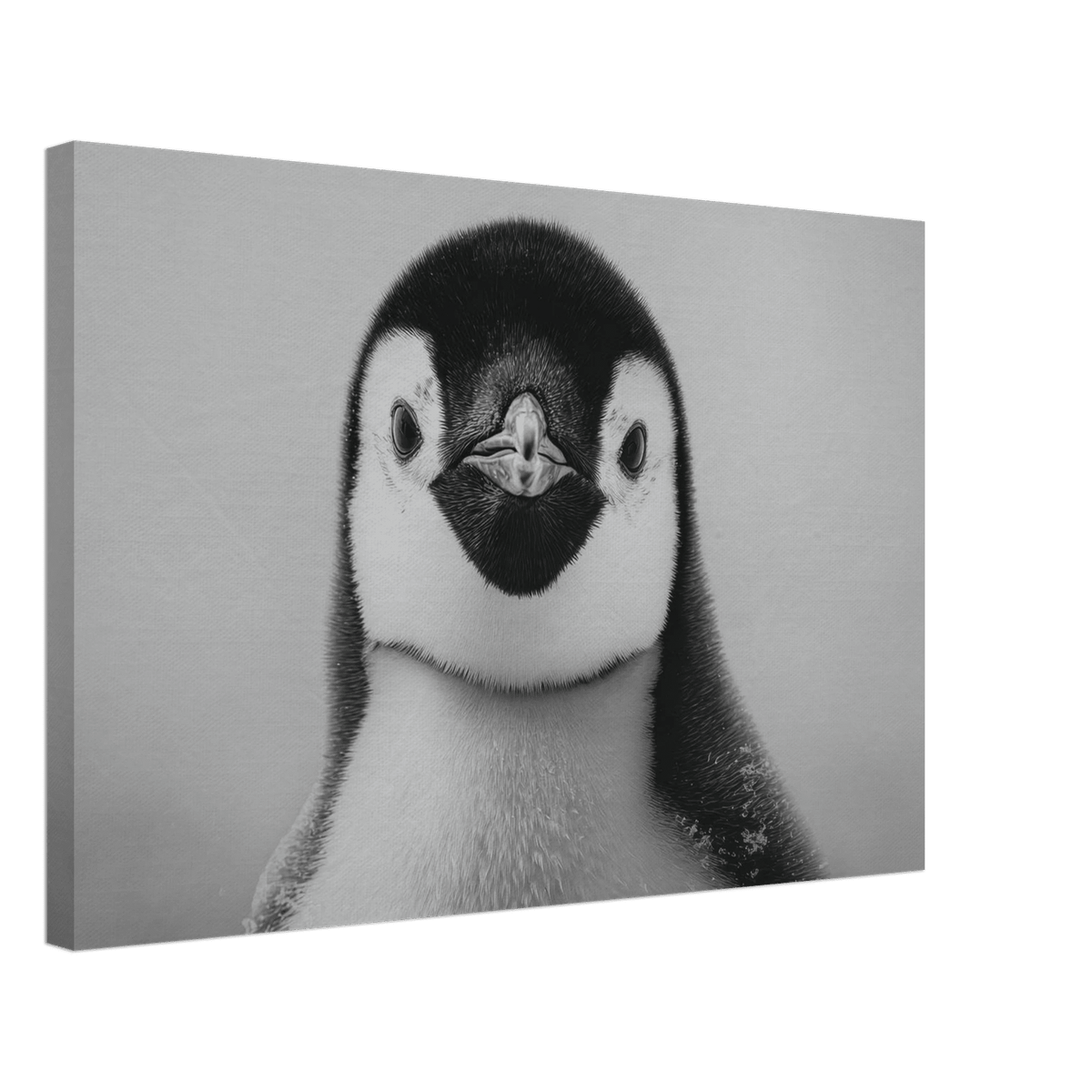 Penguin Face 2 - Shop Ai Art WebShop - Digital Art online Store