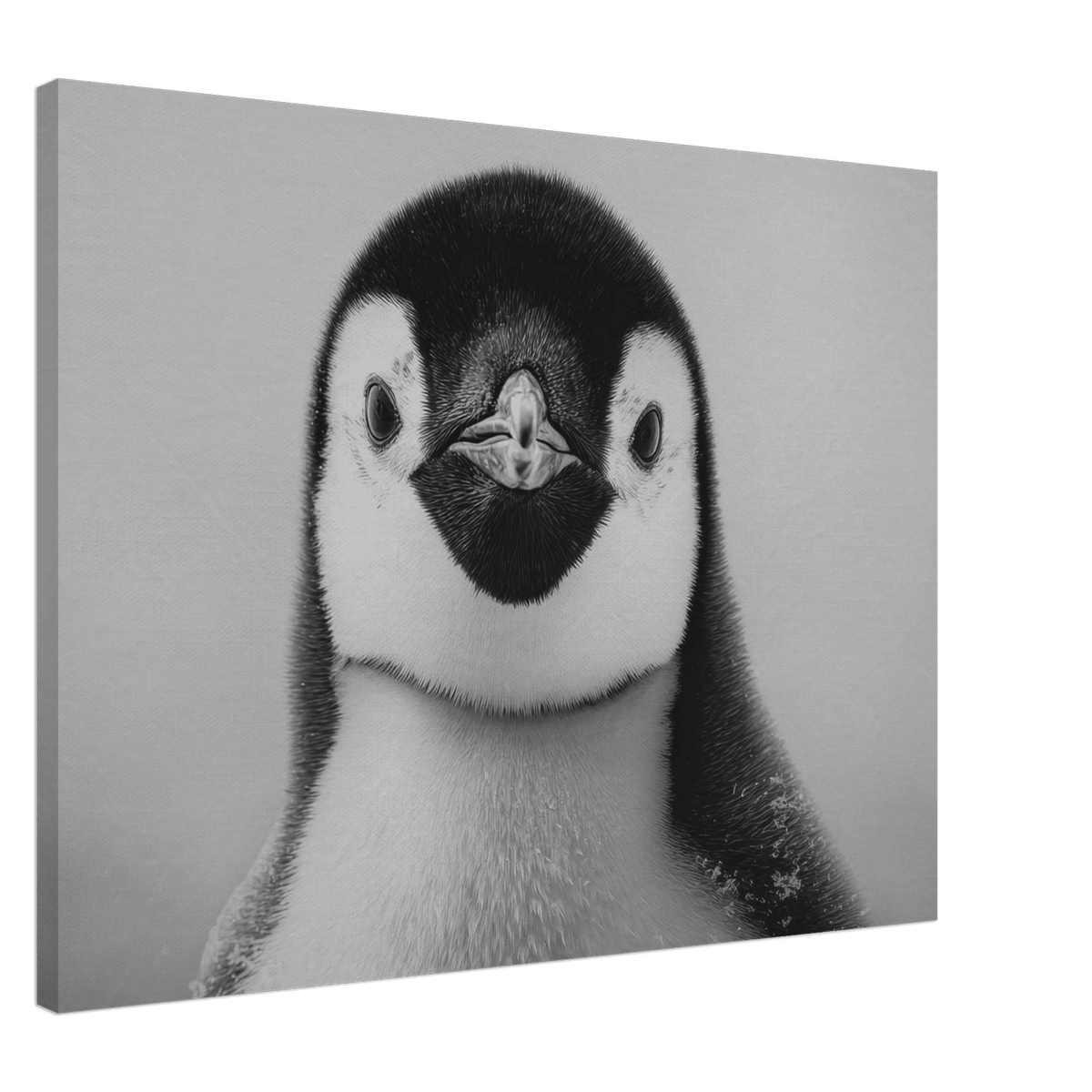 Penguin Face 2 - Shop Ai Art WebShop - Digital Art online Store