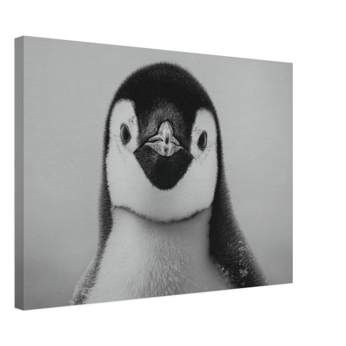 Penguin Face 2 - Shop Ai Art WebShop - Digital Art online Store