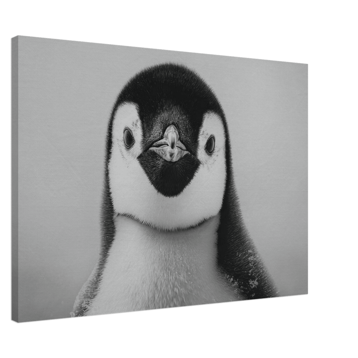 Penguin Face 2 - Shop Ai Art WebShop - Digital Art online Store