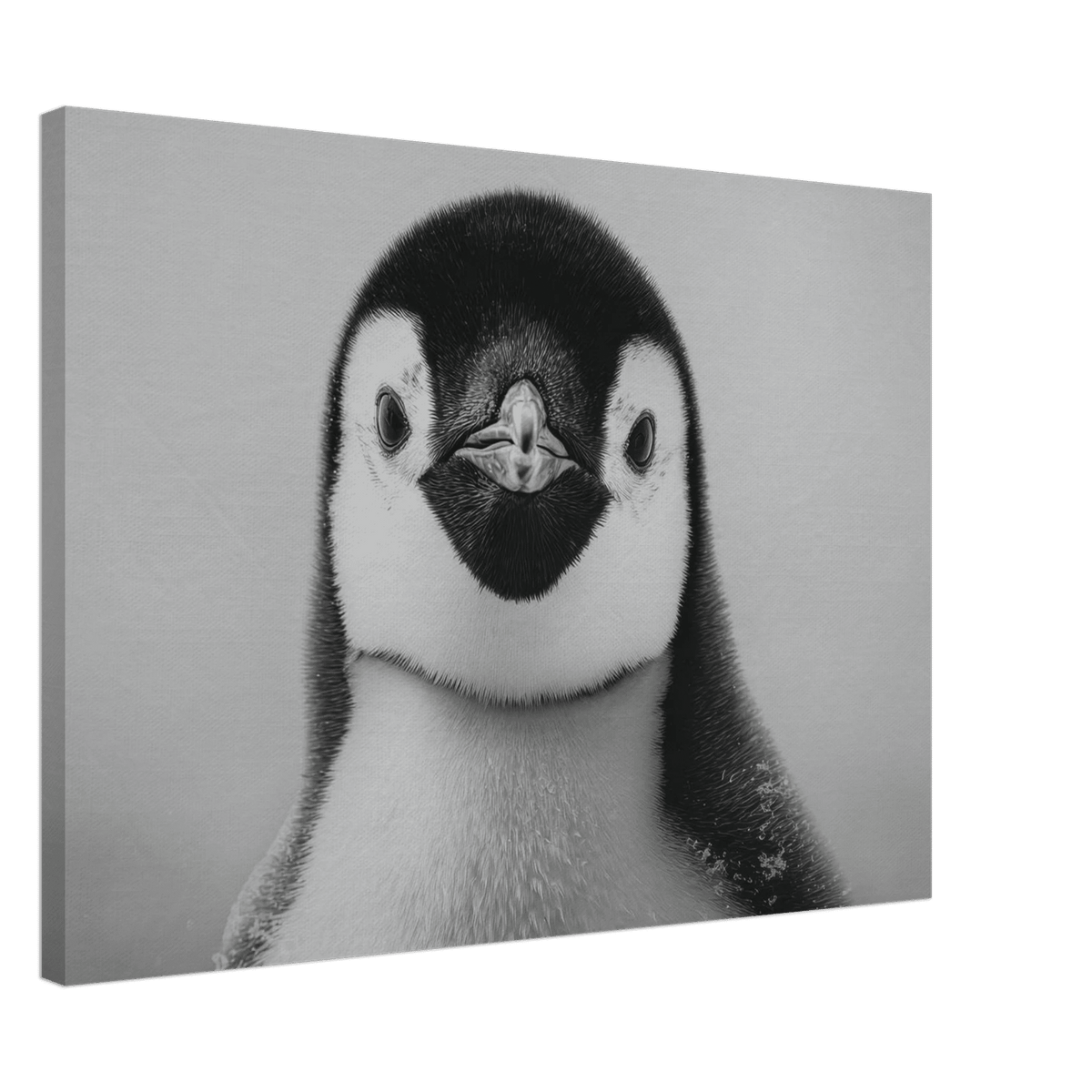Penguin Face 2 - Shop Ai Art WebShop - Digital Art online Store