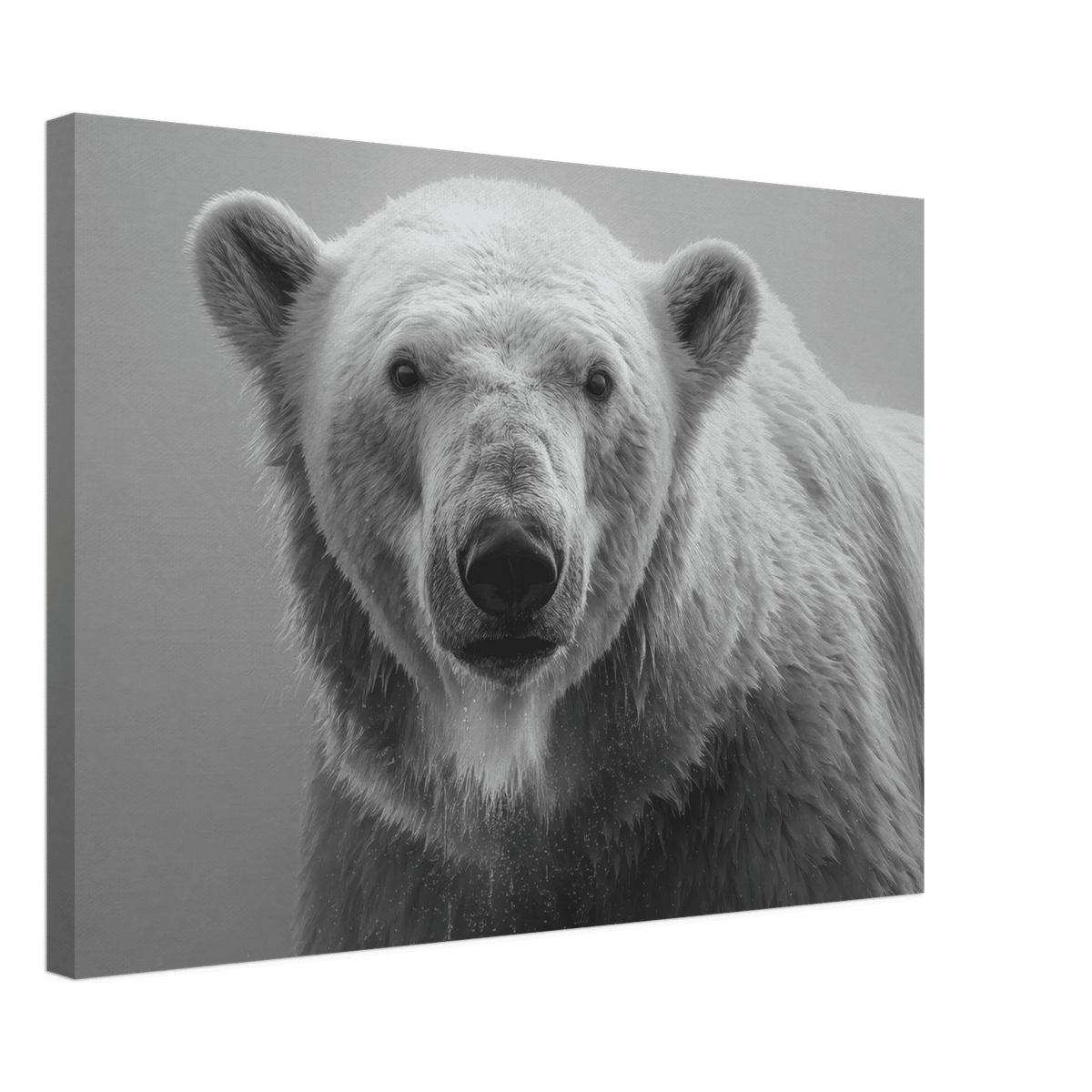 Polar Bear 0 - Shop Ai Art WebShop - Digital Art online Store
