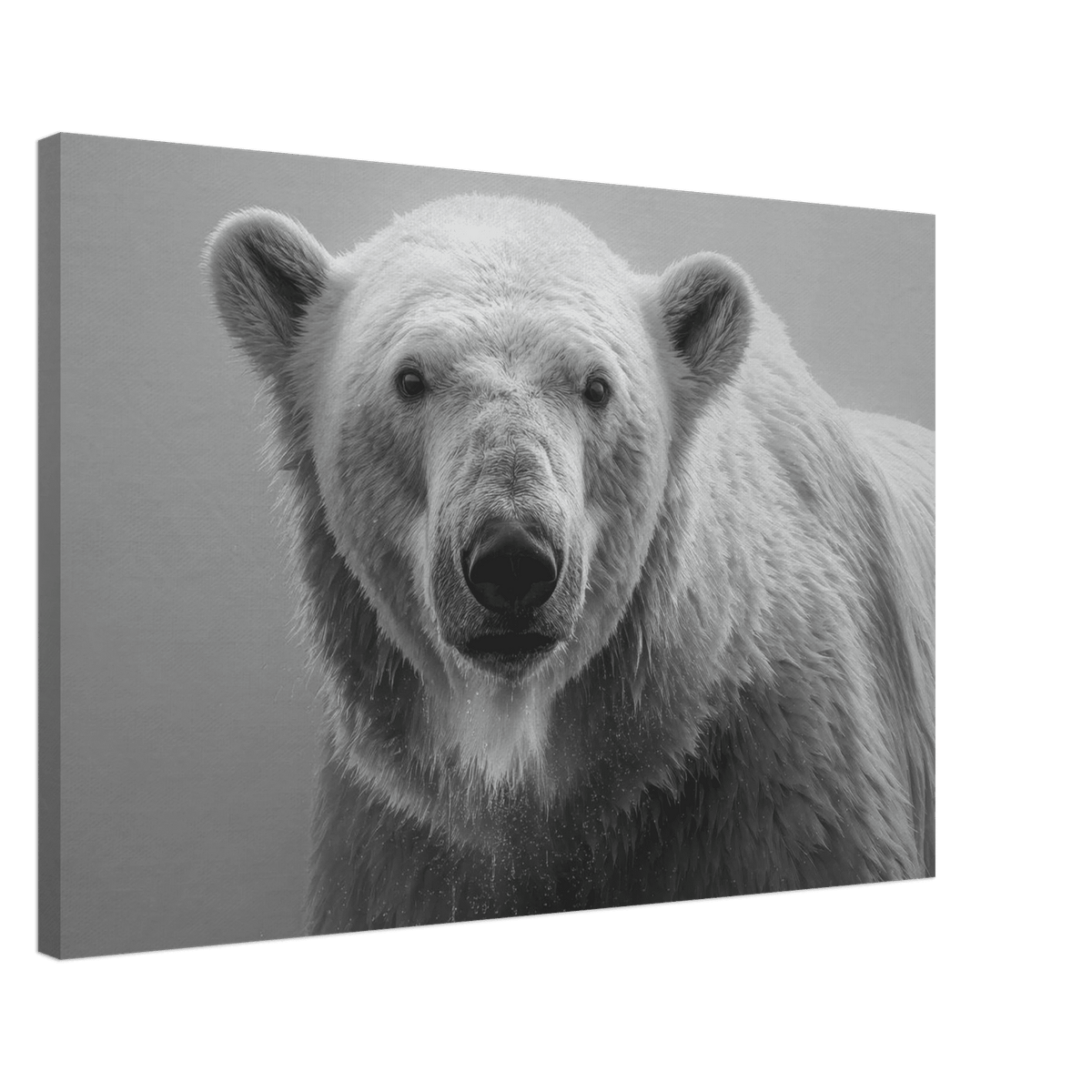 Polar Bear 0 - Shop Ai Art WebShop - Digital Art online Store