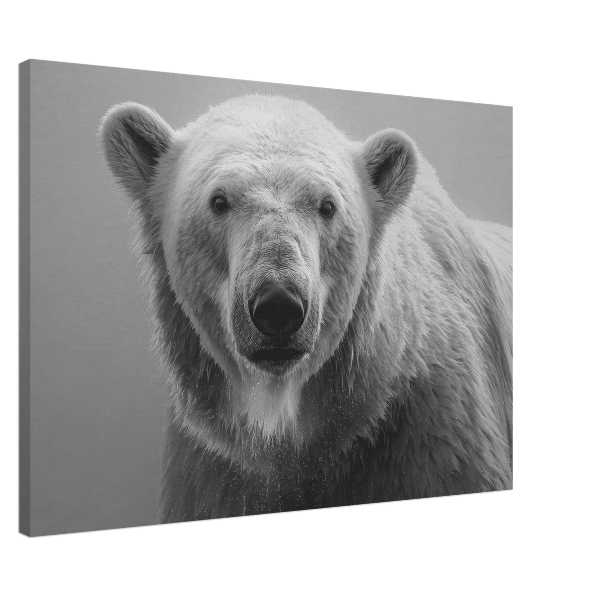 Polar Bear 0 - Shop Ai Art WebShop - Digital Art online Store