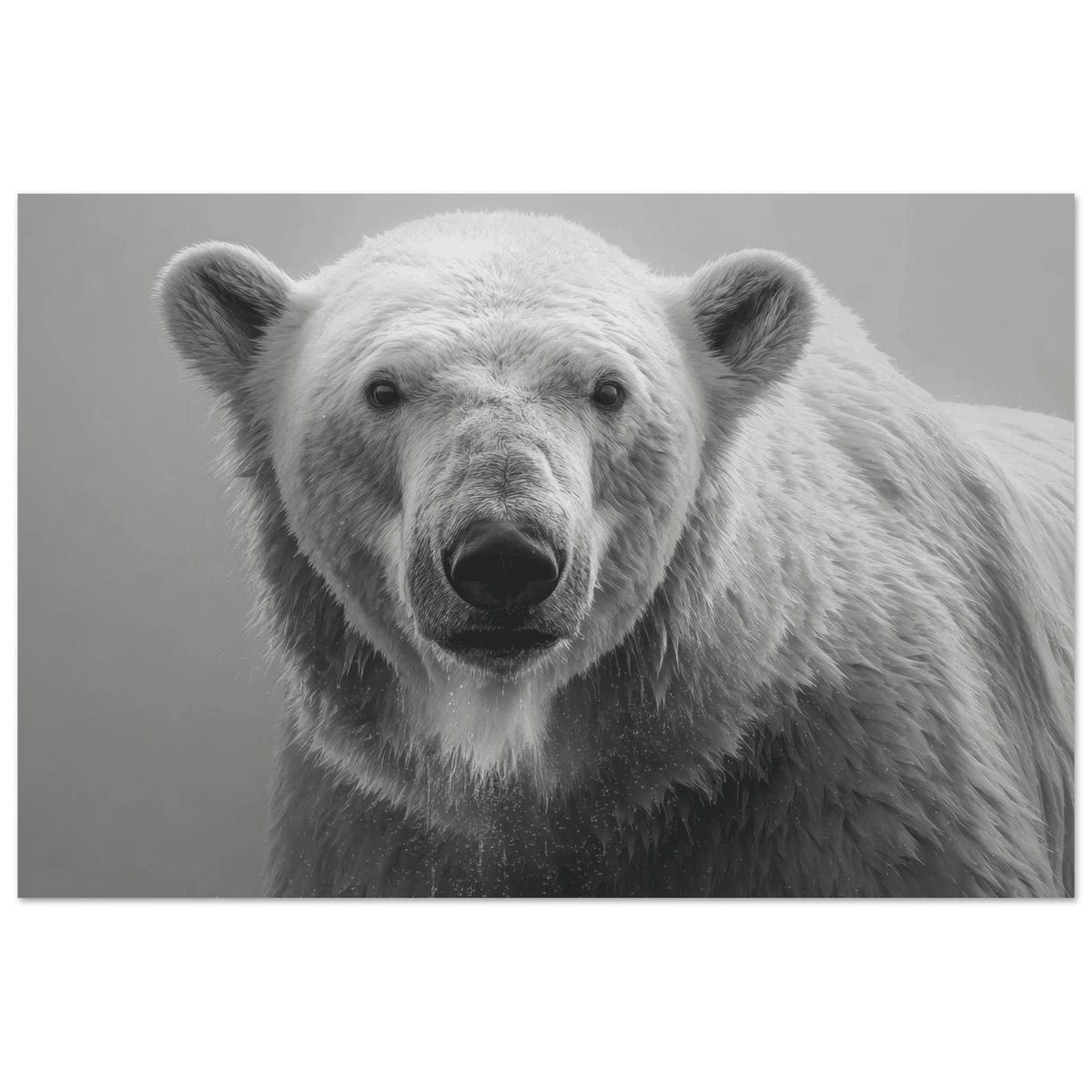 Polar Bear 0 - Shop Ai Art WebShop - Digital Art online Store