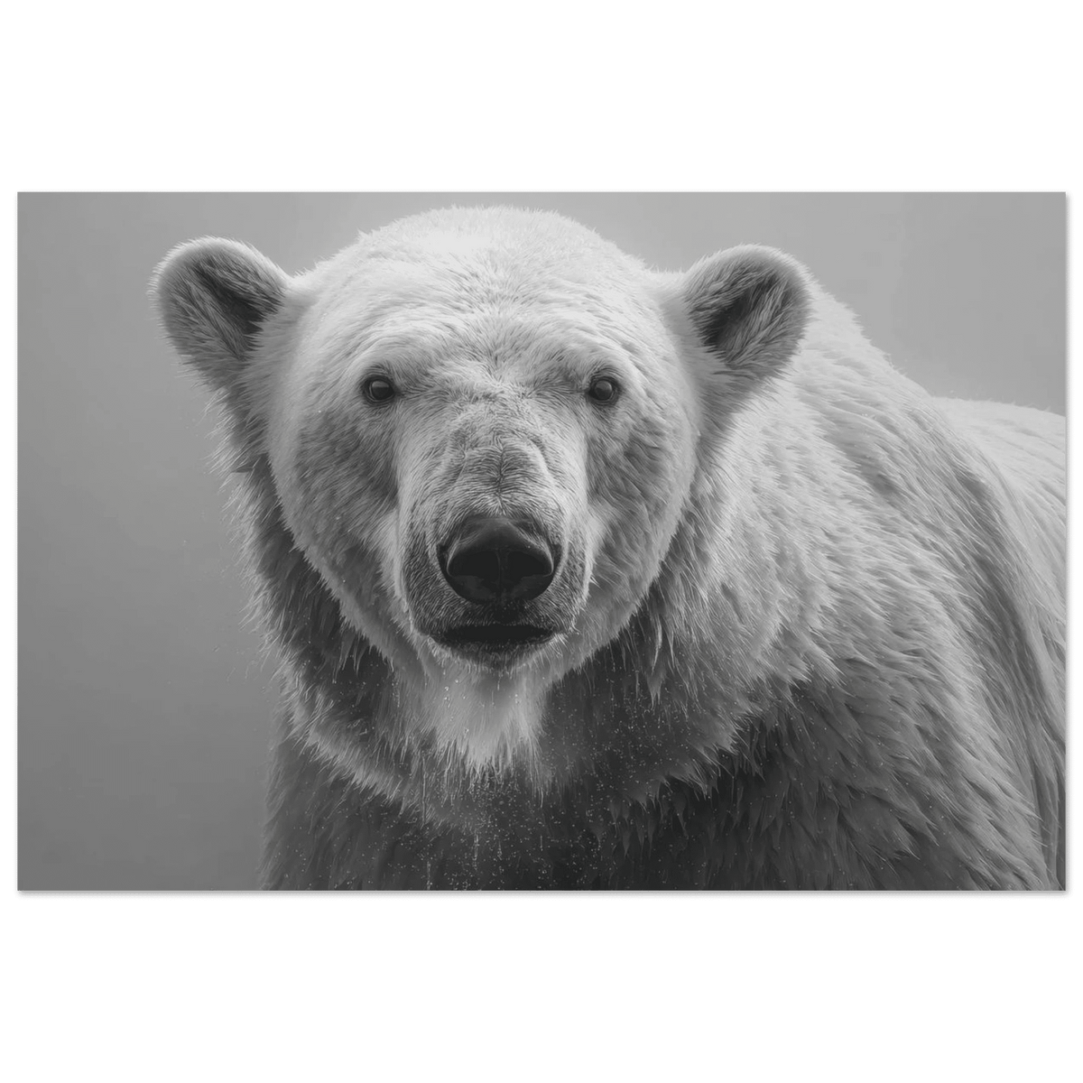 Polar Bear 0 - Shop Ai Art WebShop - Digital Art online Store