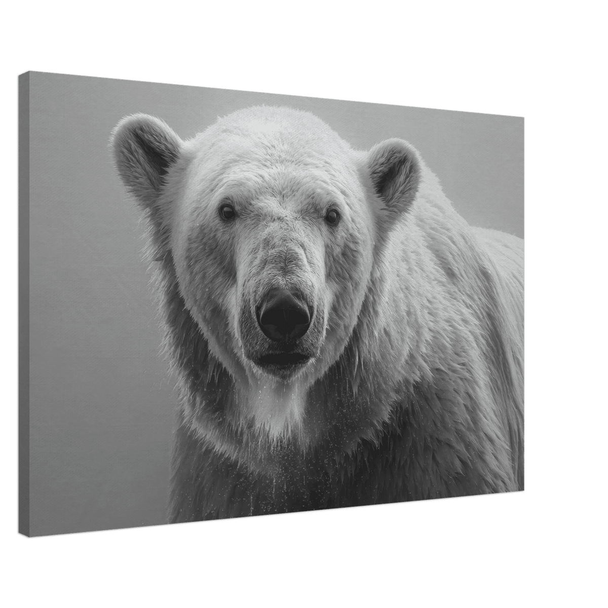 Polar Bear 0 - Shop Ai Art WebShop - Digital Art online Store
