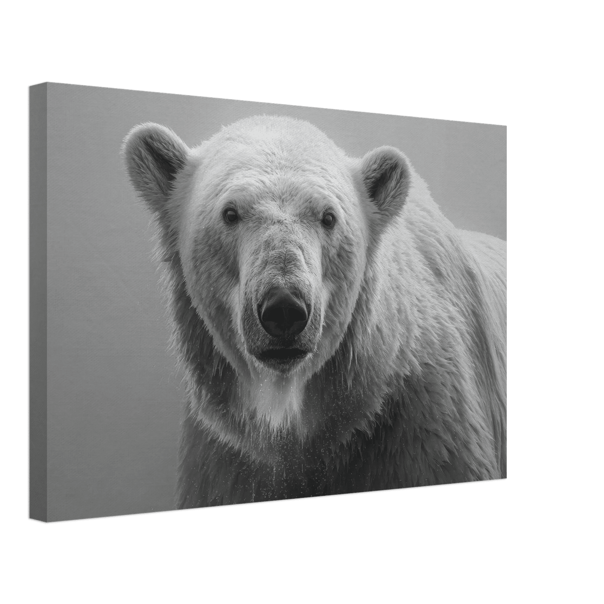 Polar Bear 0 - Shop Ai Art WebShop - Digital Art online Store