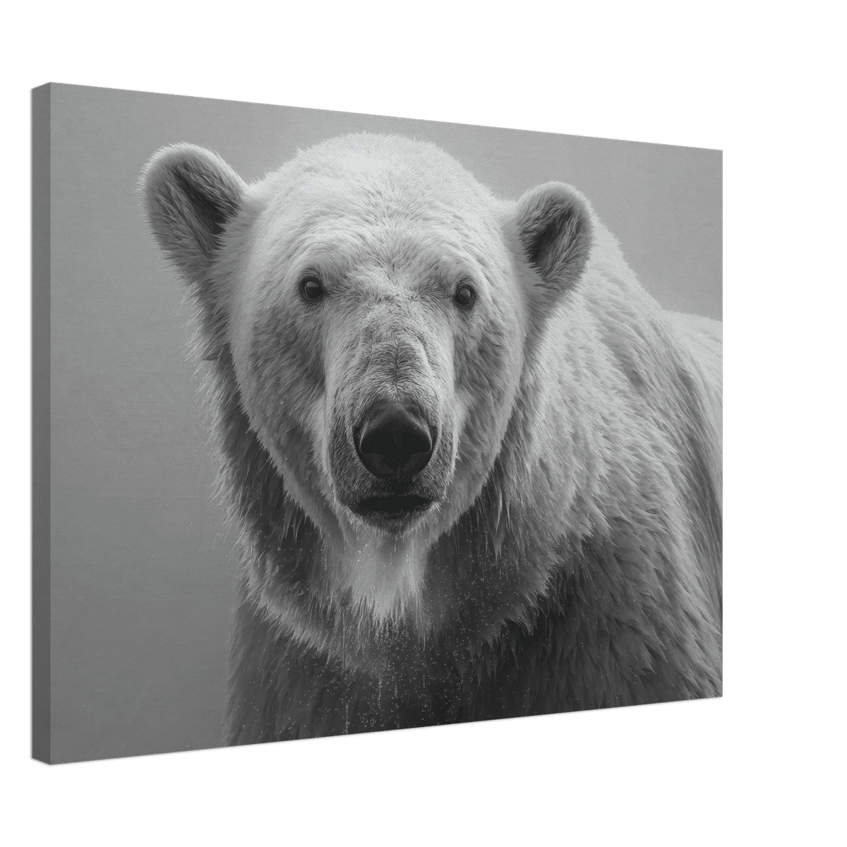 Polar Bear 0 - Shop Ai Art WebShop - Digital Art online Store