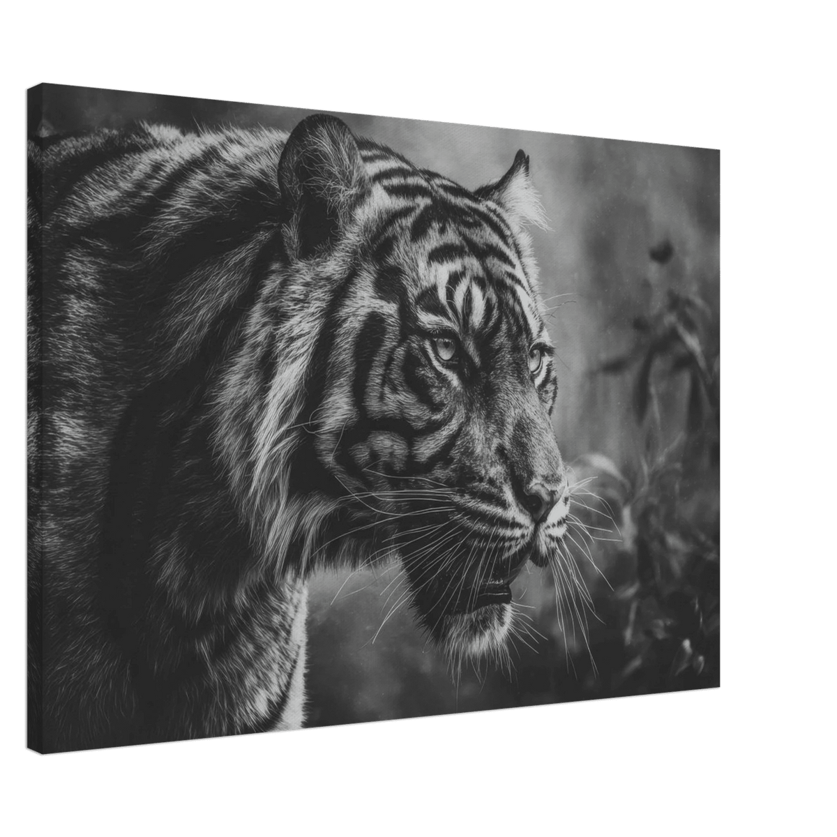 Tiger 0 - Shop Ai Art WebShop - Digital Art online Store